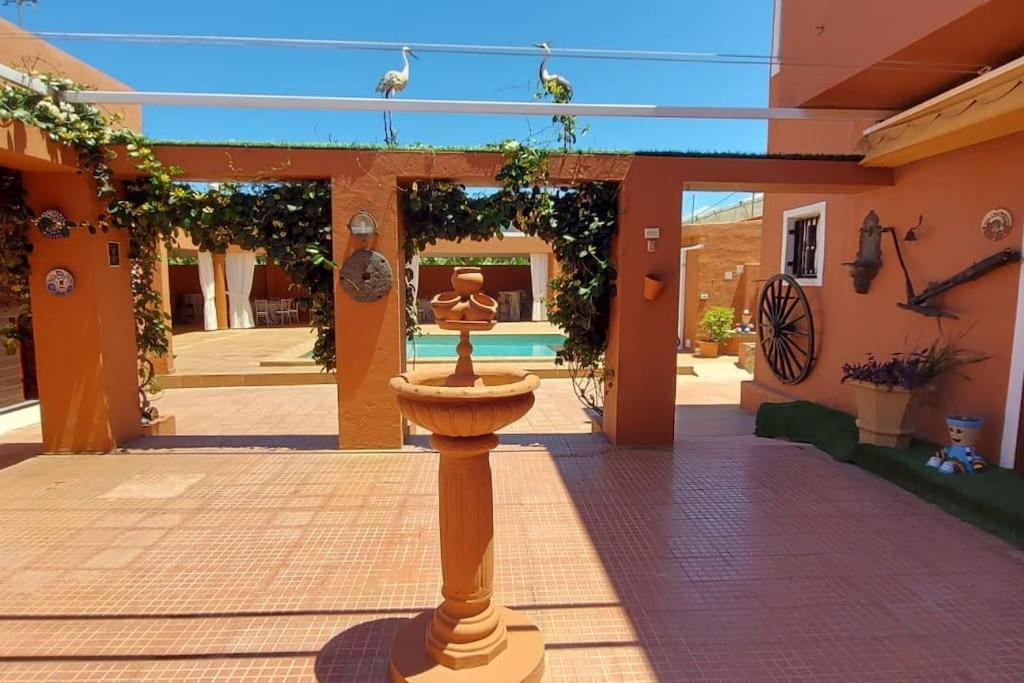 Finca David Galdar Las Palmas de Gran Canaria Exteriör bild